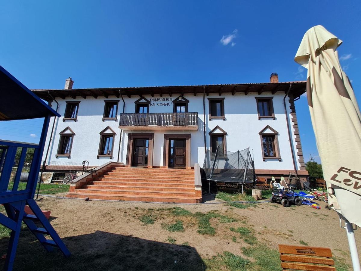 Pensiunea La Conac Bîrlad Dış mekan fotoğraf