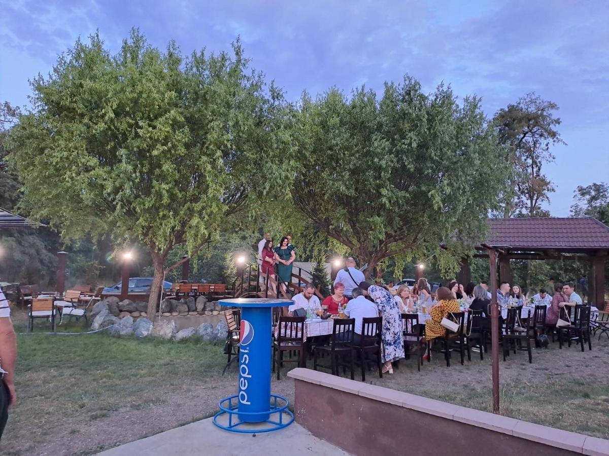 Pensiunea La Conac Bîrlad Dış mekan fotoğraf